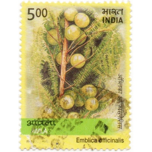 India Amla Used Postage Stamp