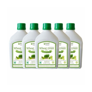 BHUMIJA LIFESCIENCES WheatGrass,Aloe & Amla  Health Drink Liquid 5 l Pack of 5