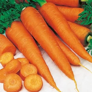 Carrot-250g