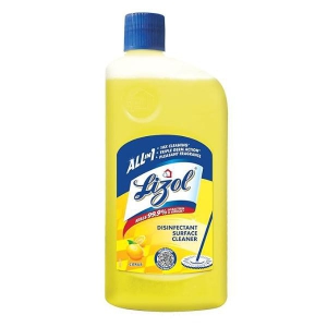 All In 1 Lysol 500 Ml