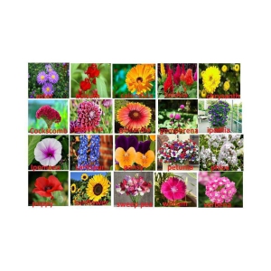 ONLY FOR ORGANIC 20 Flower Seeds (1200 + Seeds) and Instruction Manual