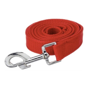 Strap Leash (1.25 Inch)