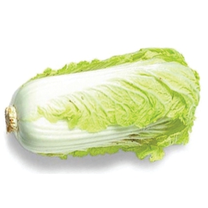 Cabbage - Chinese 1 pc