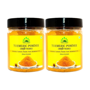 Hillpure Organic 200 gm Haldi (Turmeric) ( Pack of 2 )