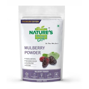 Natures Gift Mulberry Powder Smoothie 100 g