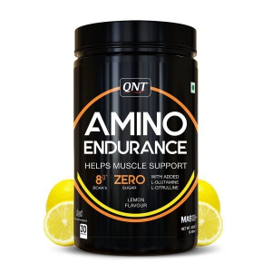 QNT Amino Endurance Powder 400 Gms