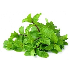 Mint Leaves 200 gms