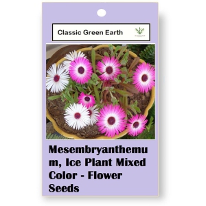CLASSIC GREEN EARTH - Flower Seeds ( Ice Plant Mixed Color Flower 50 Seeds )