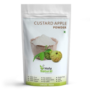 Holy Natural Custard Apple Powder Smoothie 100 g