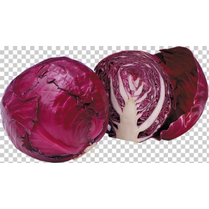 Cabbage - Red 1 pc