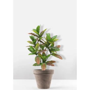 Euroxo Artificial Croton Plants - 100 Cm