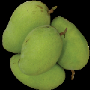 Mango - Langra 1 Kg