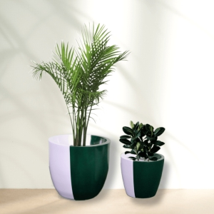 euroxo-pink-green-fiber-planter-set-frp-planter-for-indoor-outdoor