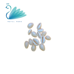 White kawa shell | White cowrie-11-pieces