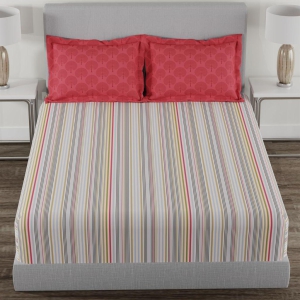 trident-home-essential-bedsheet-144-thread-count-100-cotton-bedsheet-soft-finish-sheet-set