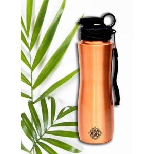 Copper Bottle, Pure Copper Water Bottles With Sipper, For Healthy Water, 750ml, Matt Brown