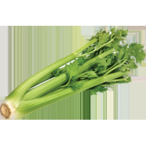 Celery 100 gms