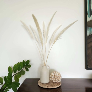 elegant-white-pampas-pampas-with-ceramic-jug-vase