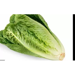 Lettuce - Romaine 100 gms