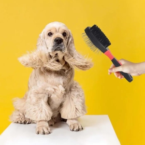 Double Sided Grooming Brush