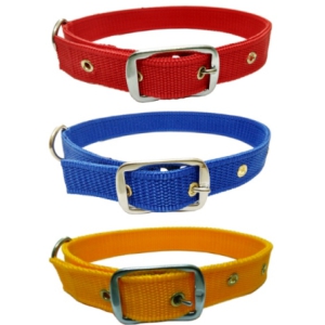 Nylon Plain Dog Collar-1 inch