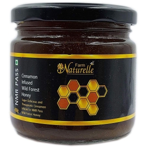 Farm Naturelle- Raw, 100% Natural NMR Tested, Pass, Certified Cinnamon Infused in Wild Forest Honey(450Gram) Glass Jar.