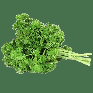 Curled Parsley 50 Gms
