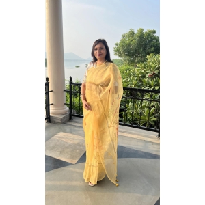 organza-saree