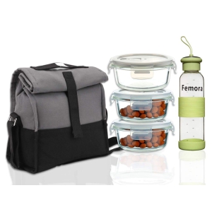 Femora Borosilicate Glass Air Tight Microwave Safe Lunch Box, Lunch Box for Office with Bag Set of 4