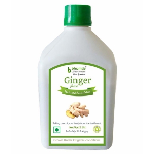 BHUMIJA LIFESCIENCES Ginger Juice   Health Drink Liquid 1 l