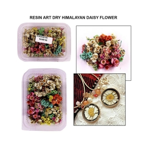 Dry Himalayan Daisy Flower Rawdf-Hd | INKARTO