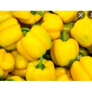 Capsicum - Yellow 200 Gms