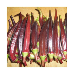 Green India Vegetables Okra/Bhindi Hybrid Seeds - 50 seeds/Pack