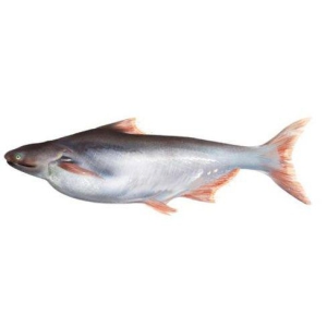 dash-food-basa-pangas-1-kg