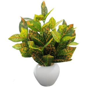 BAARIG - Multicolor Evergreen Artificial Plants Bunch ( Pack of 1 )