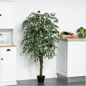 ARTIFICIAL GORGEOUS FICUS BENJAMINA VARIEGATED PLANT 6ft height