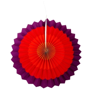 paper-fans-for-party-wall-decoration-multicolor-pack-of-6