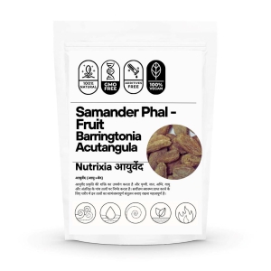 Samander Phal - Samunder Fal -Samuder Fal - Samudra Fruit-100 Gms