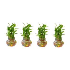 Green plant indoor - Green Wild Artificial Flowers With Pot ( Pack of 4 )