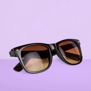 Unisex Free Size Wayfair Sunglasses-Free Size