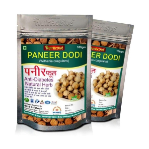 NutrActive panner dodi 200 gm