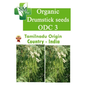Indian organic Moringa Seeds - Odc Variety, 100 seeds per back