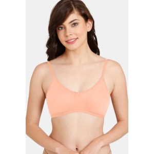 Zivame Rosaline Everyday Anti-Microbial Double Layered Non Wired 3/4th Coverage T-Shirt Bra ZI1885-36C / Peach Pearl