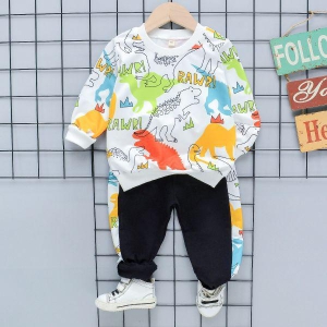 Boys Colorful & Smart Dinosaur Printed long-sleeved spring children's Two-piece baby clothes-2-3 YEAR