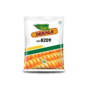 dekalb-seed-dkc-8209