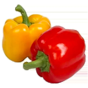 COLOUR CAPSICUM 250 Grams