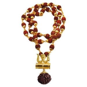 paystore-rudraksha-pack-of-1