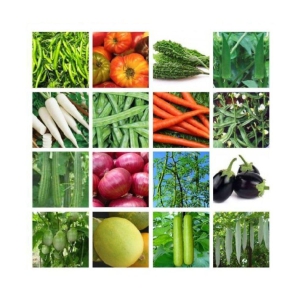 OLD STORE 16 VEGETABLE SEEDS COMBO ( MORE THAN 250 SEEDS) 15-15 SEEDS OF EACH ONE WITH MANUAL