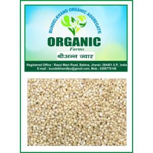 Organic Millets Jwar