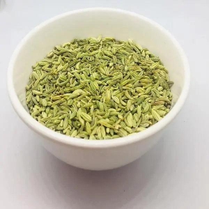 Fennel Seed / ???? ?? ??? / Nutrixia Food-250 Gms